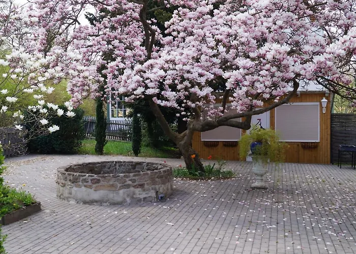 ホテル Am Kurpark 3*